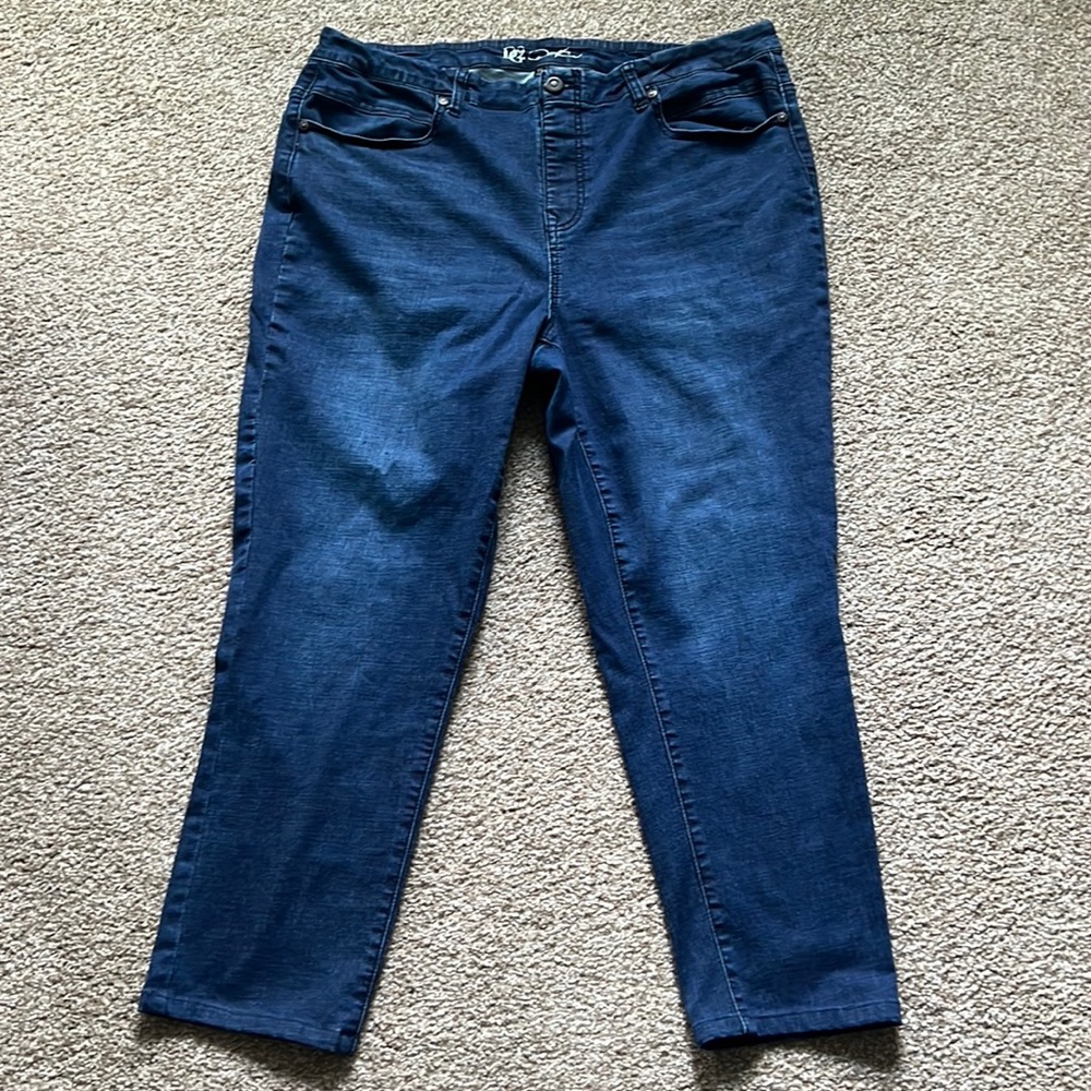 DG2 by Diane Gilman pull on elastic waist stretch jegging PLUS sz 1X